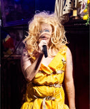 Halloween!! A Horrible Hornecker Haunting by Ms Sharon le Grand! Dress Up and Swoosh By! October 31st!